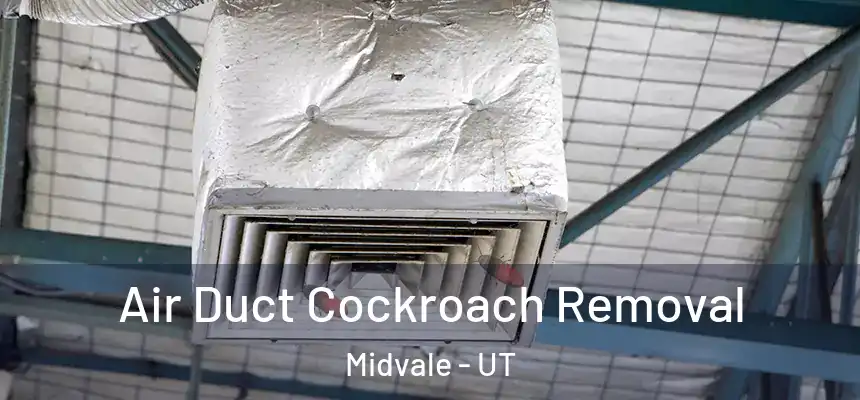 Air Duct Cockroach Removal Midvale - UT