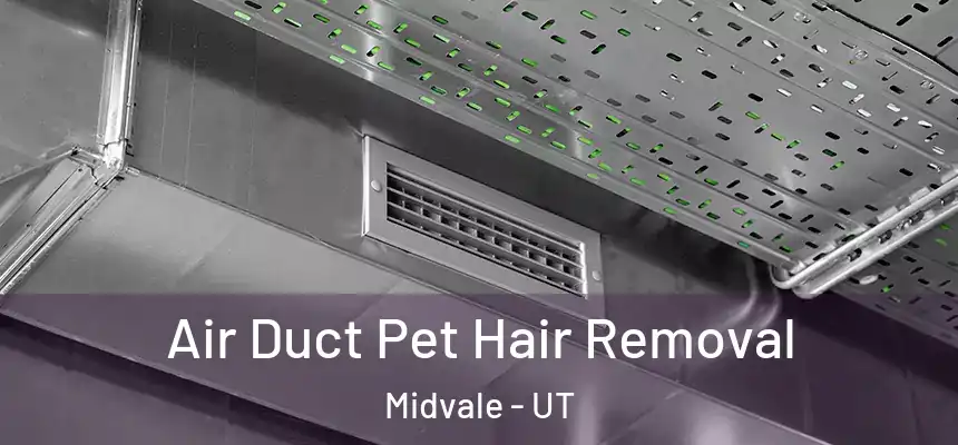  Air Duct Pet Hair Removal Midvale - UT