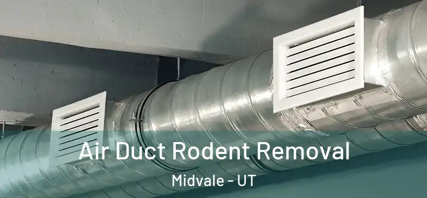  Air Duct Rodent Removal Midvale - UT