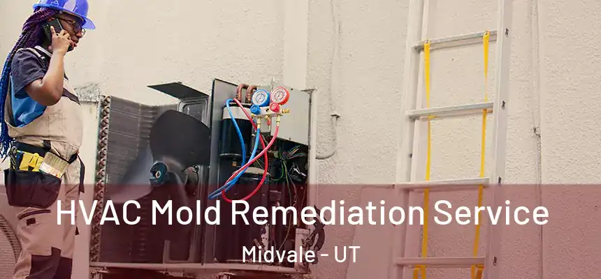 HVAC Mold Remediation Service Midvale - UT