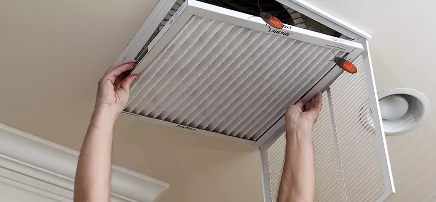 Our Insect Removal from Air Ducts Services in Midvale, UT