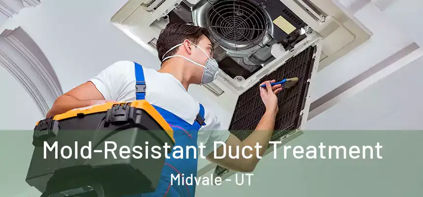  Mold-Resistant Duct Treatment Midvale - UT