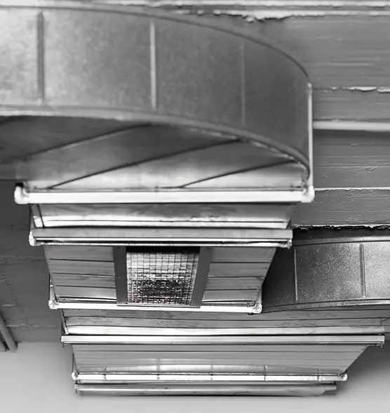 Professional Air Duct Pet Hair Removal in Midvale, UT