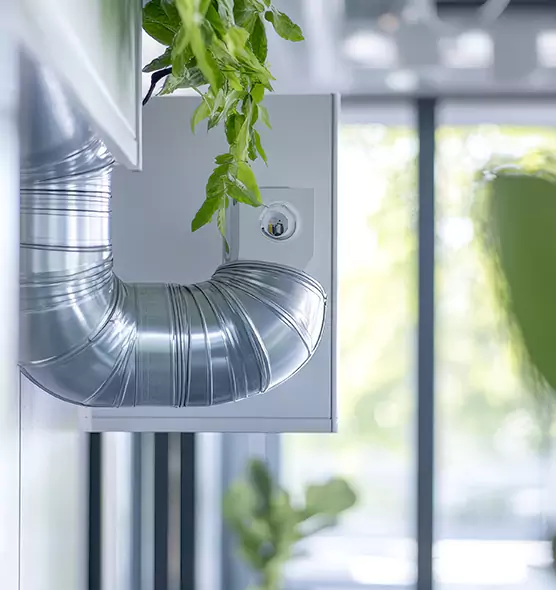 Professional Eco-Friendly Duct Cleaning Services in Midvale, UT