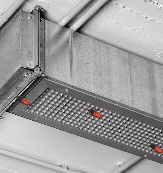 Affordable Insect Removal from Air Ducts in Midvale, UT