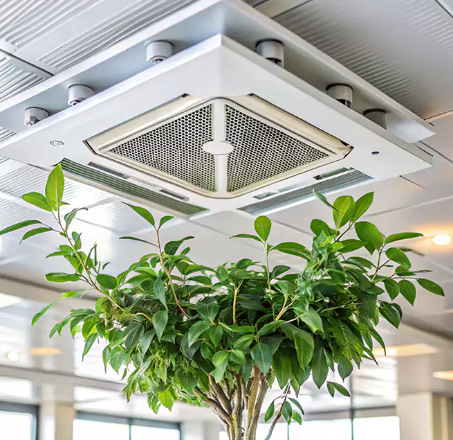 Why Homeowners & Businesses Trust Us in Midvale, UT