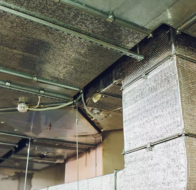 Why Homeowners & Businesses Trust Us in Midvale, UT?