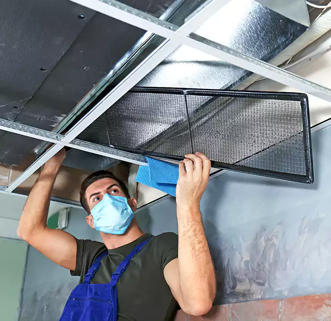 Why Homeowners Businesses Trust Us in Midvale, UT